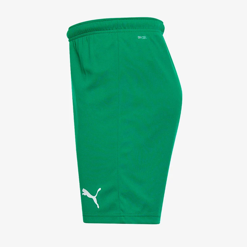 Puma teamRISE Shorts