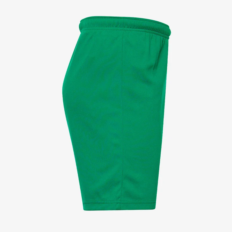 Puma teamRISE Shorts