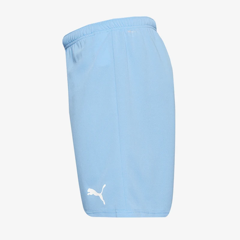 Puma teamRISE Shorts