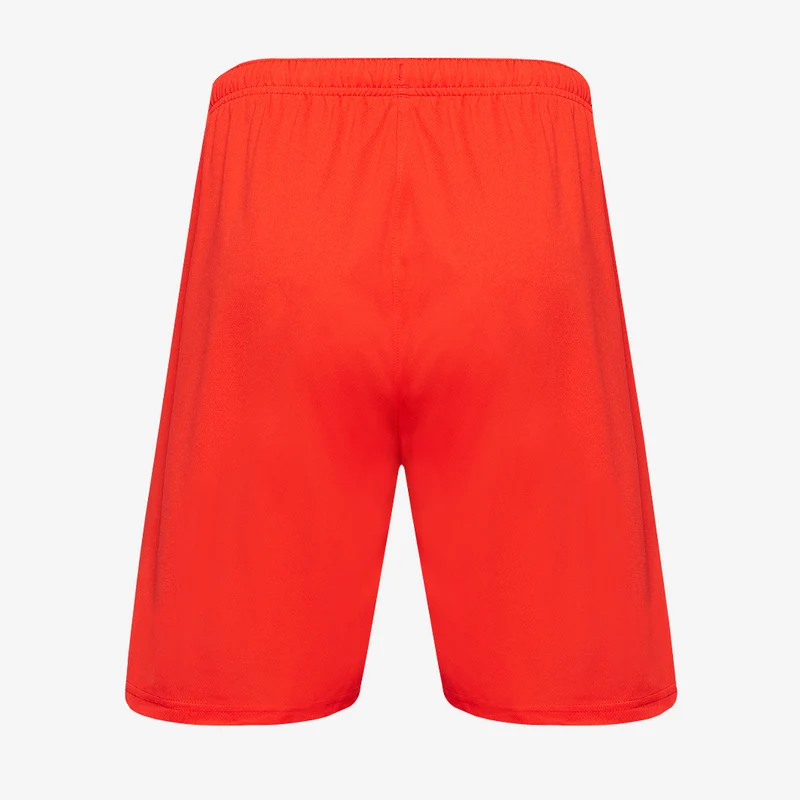 Puma teamRISE Shorts