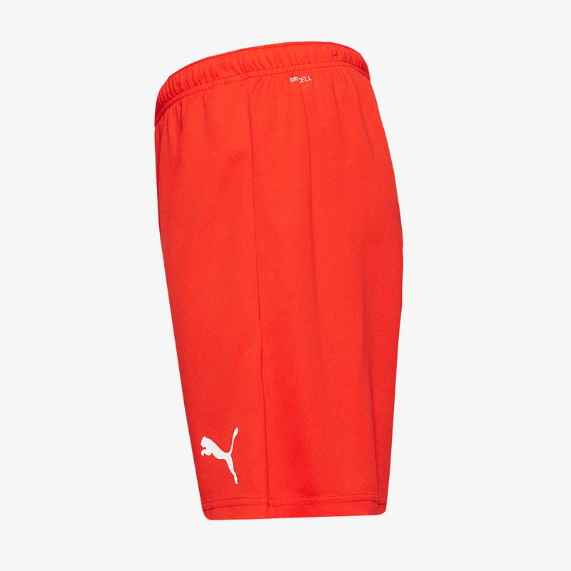 Puma teamRISE Shorts