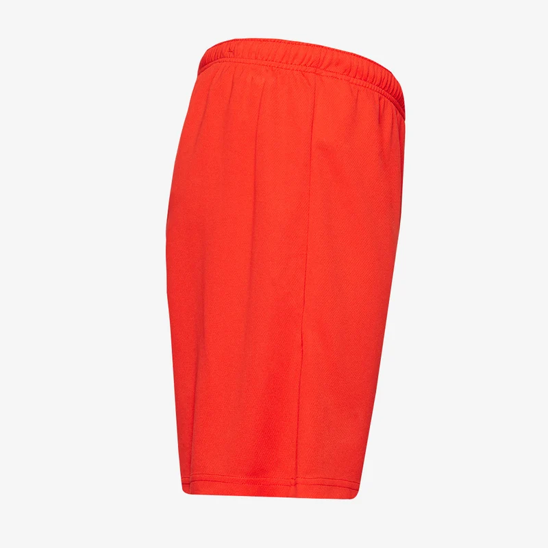 Puma teamRISE Shorts