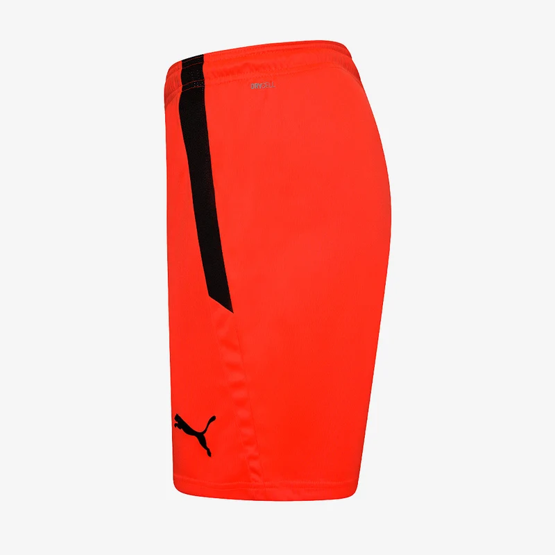 Short Puma Team Liga
