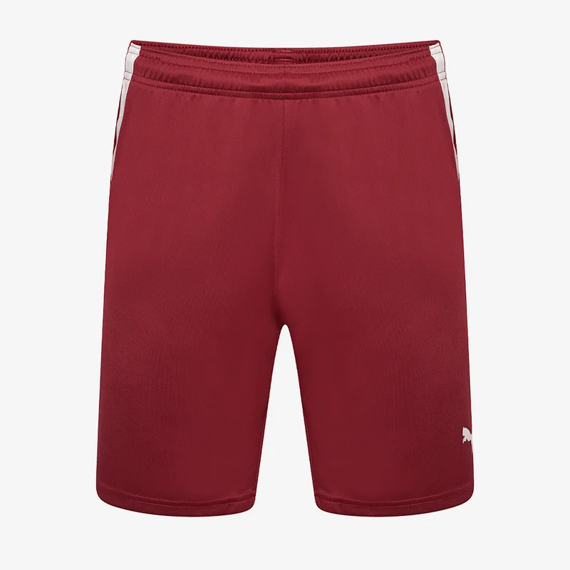 Short Puma Team Liga