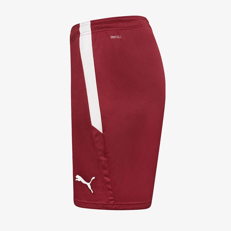 Short Puma Team Liga