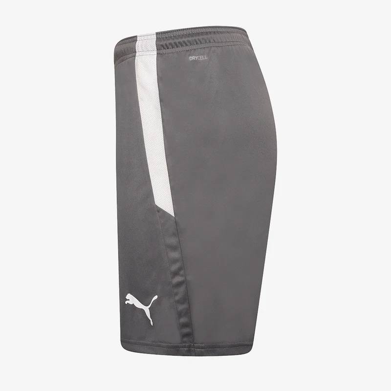 Short Puma Team Liga