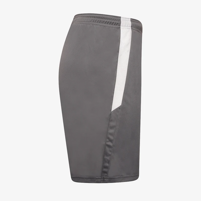 Short Puma Team Liga