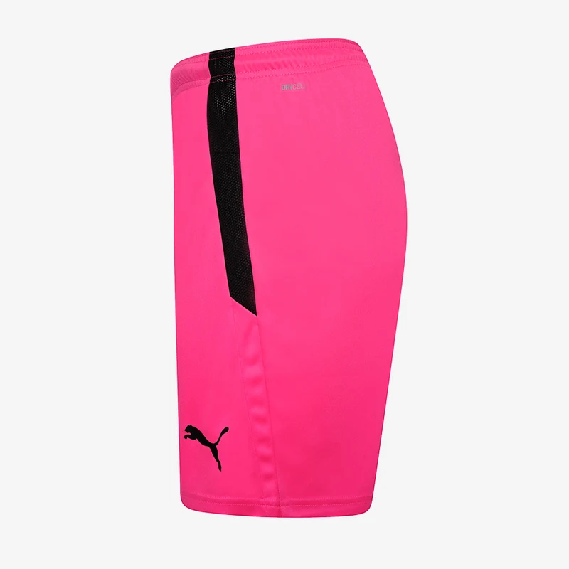 Short Puma Team Liga