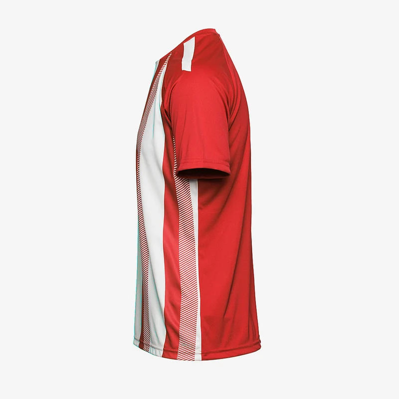 Maillot Puma Enfant Team Liga Striped Manches Courtes