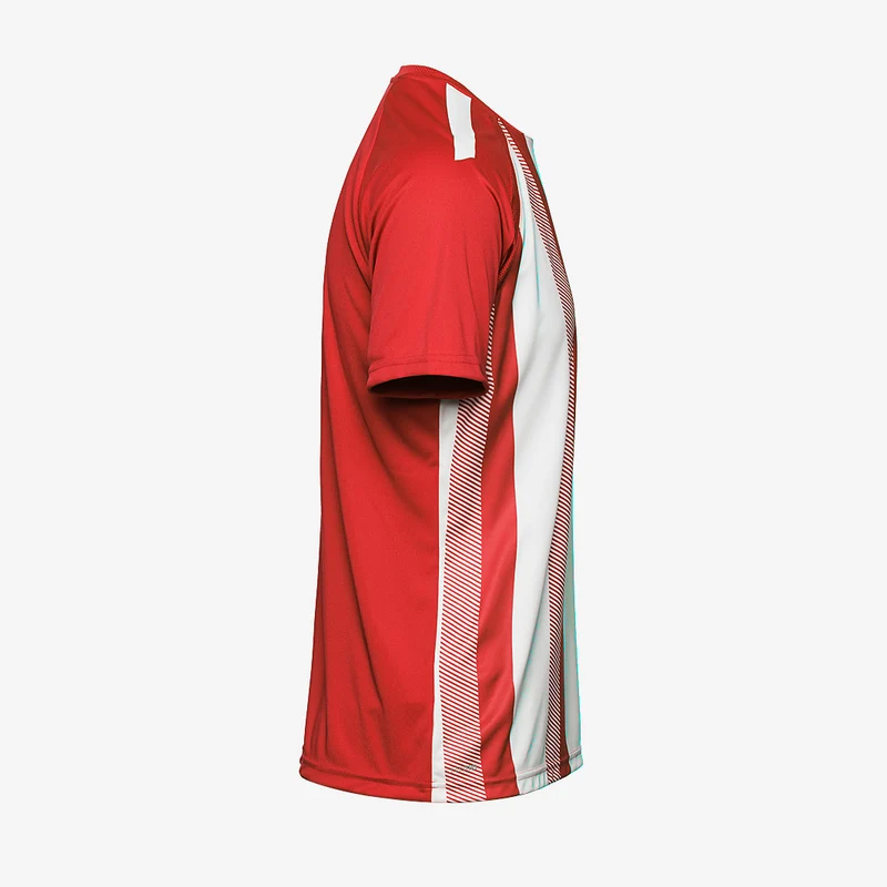 Maillot Puma Enfant Team Liga Striped Manches Courtes
