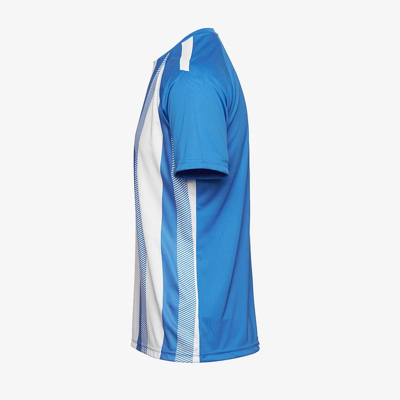 Maillot Puma Enfant Team Liga Striped Manches Courtes