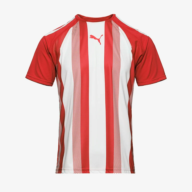 Maillot Puma Team Liga Striped Manches Courtes