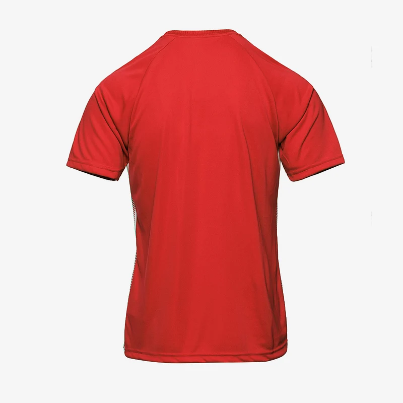 Maillot Puma Team Liga Striped Manches Courtes