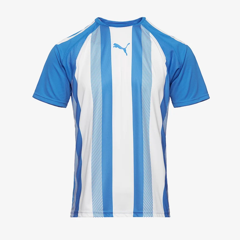 Maillot Puma Team Liga Striped Manches Courtes