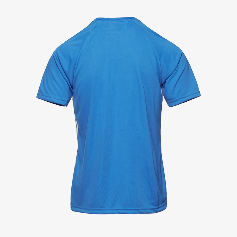 Maillot Puma Team Liga Striped Manches Courtes