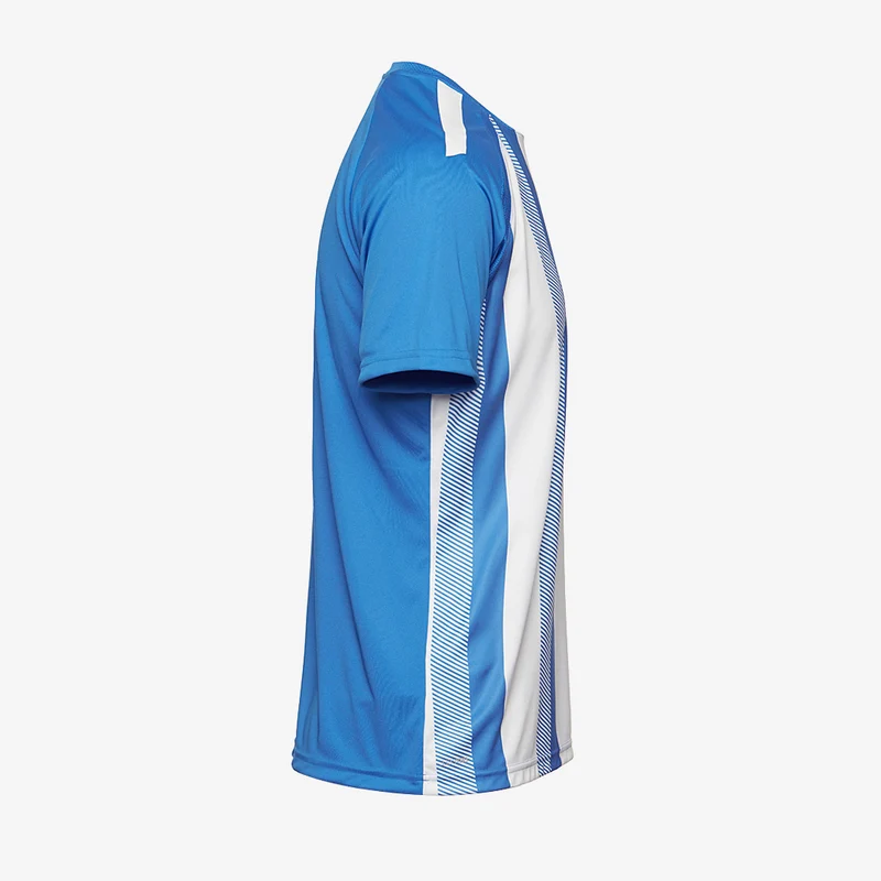 Maillot Puma Team Liga Striped Manches Courtes