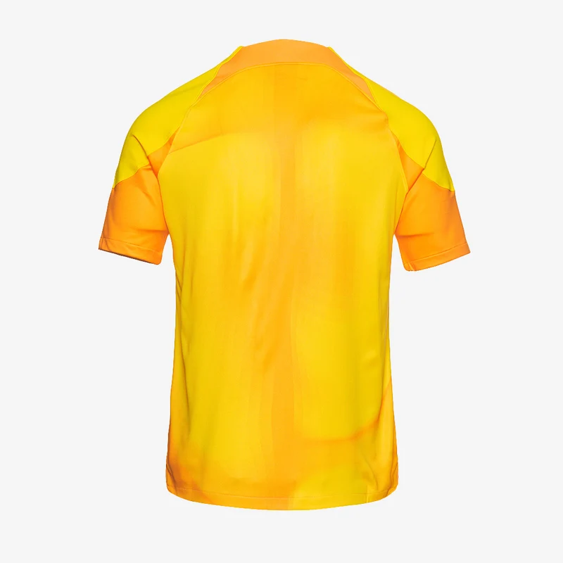 Nike Gardien IV SS GK Shirt