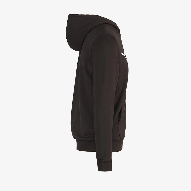 Veste à capuche Puma Enfant Goal 23 Casuals