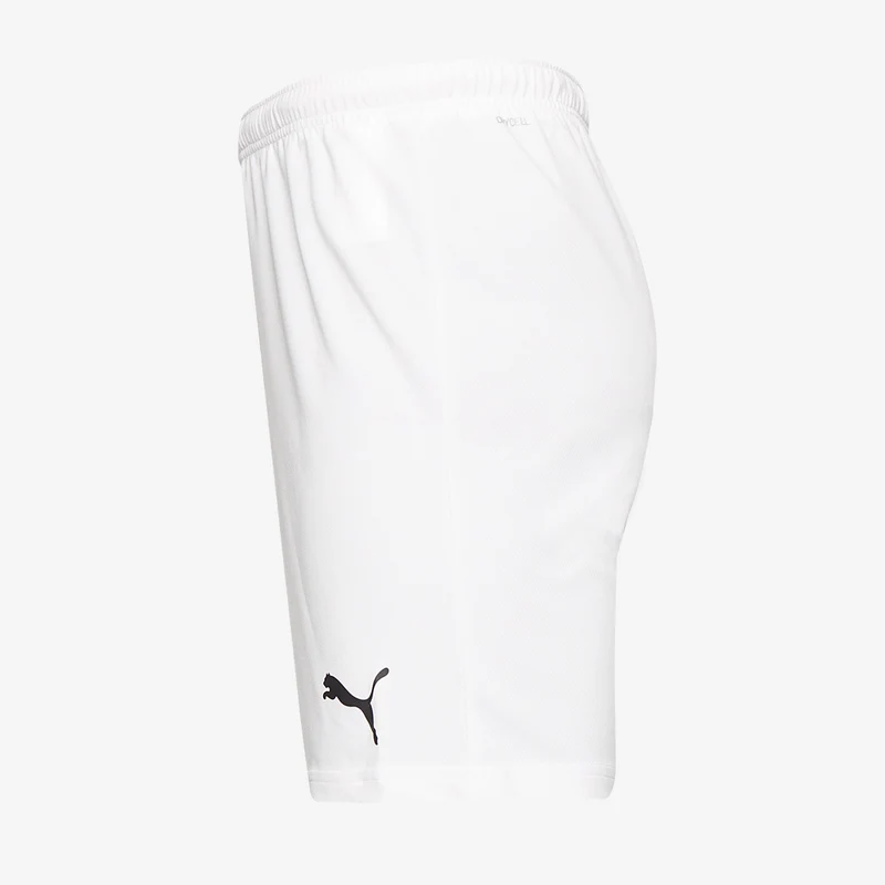 Short Puma Enfant Team Rise