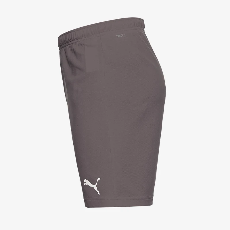 Puma teamRISE Shorts