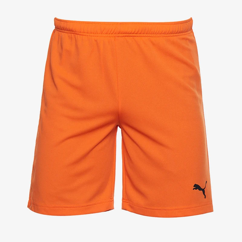 Puma teamRISE Shorts