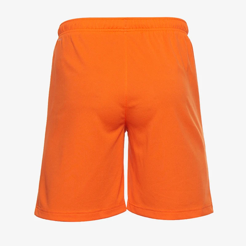 Puma teamRISE Shorts