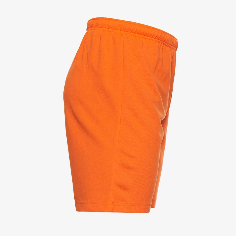 Puma teamRISE Shorts