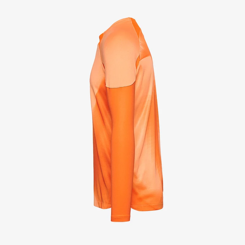 Nike Gardien IV LS GK Shirt