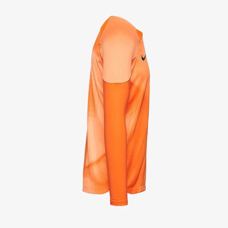 Nike Gardien IV LS GK Shirt