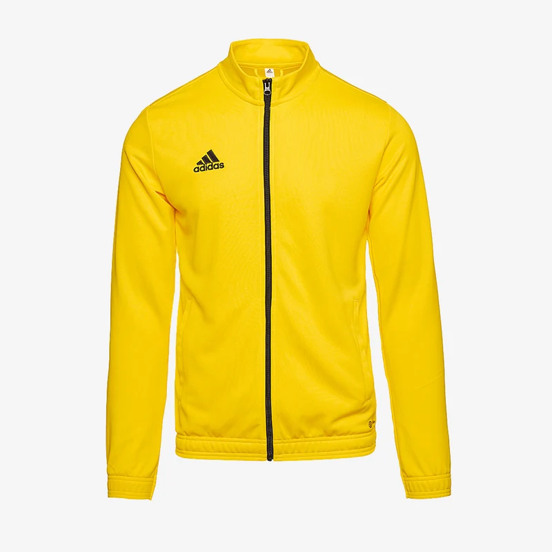 Veste de Survêtement adidas Entrada 22