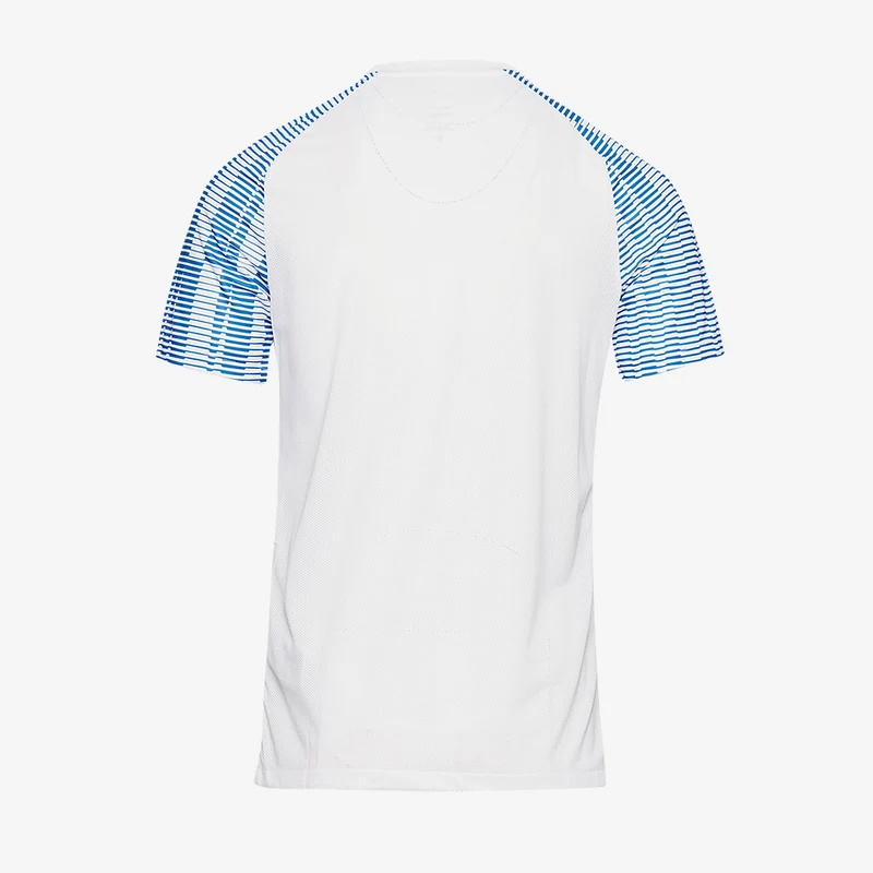 Maillot à manches courtes Nike Dri-Fit Junior Academy