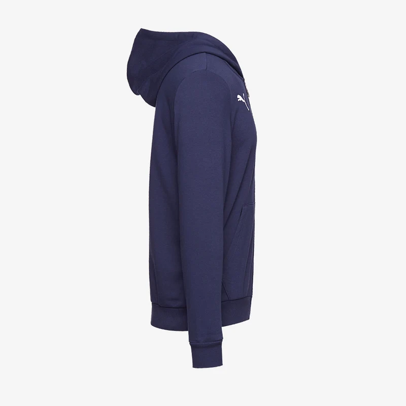 Veste à capuche Puma Enfant Goal 23 Casuals