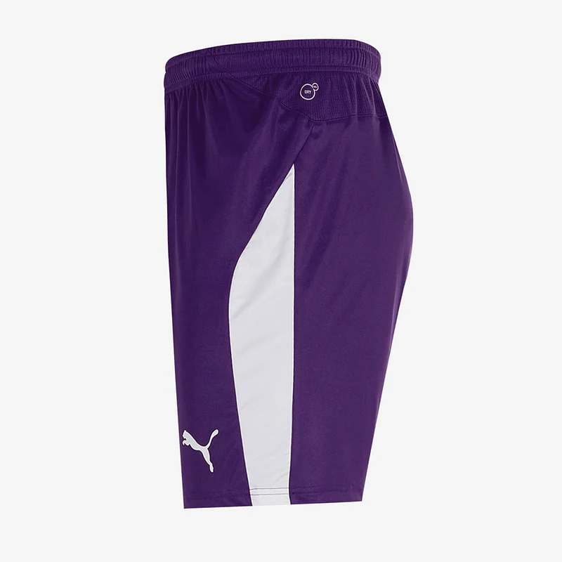 Short Puma Enfant Liga
