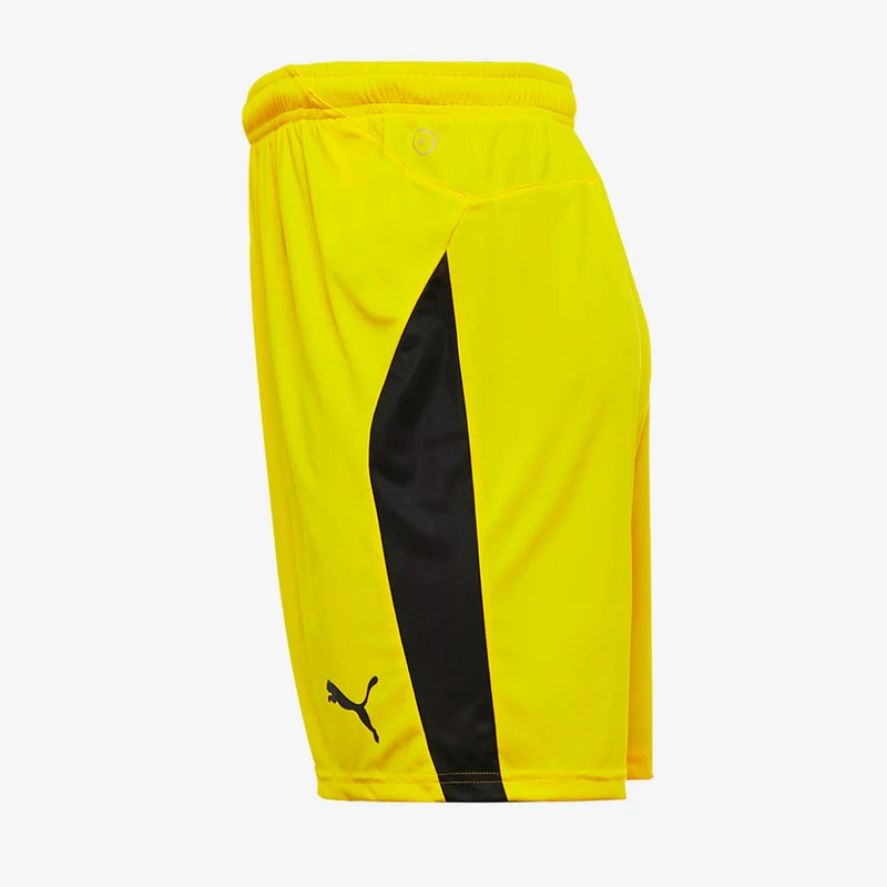 Short Puma Enfant Liga