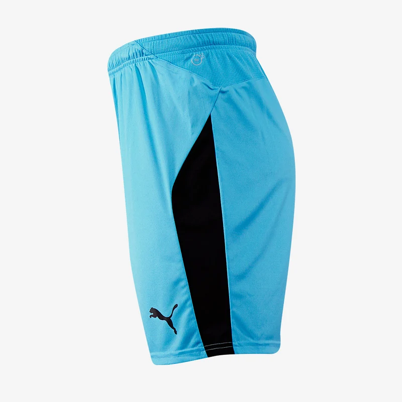 Short Puma Enfant Liga