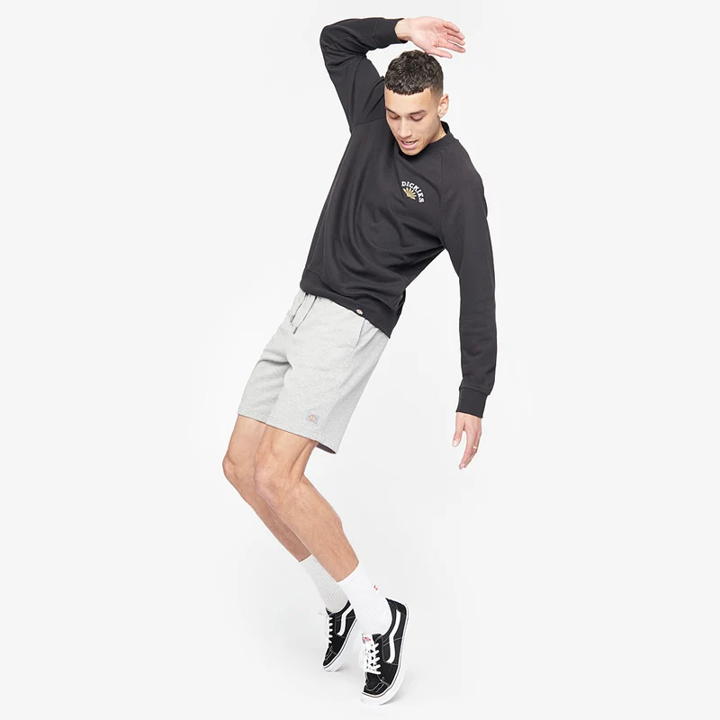 Short Dickies Champlin