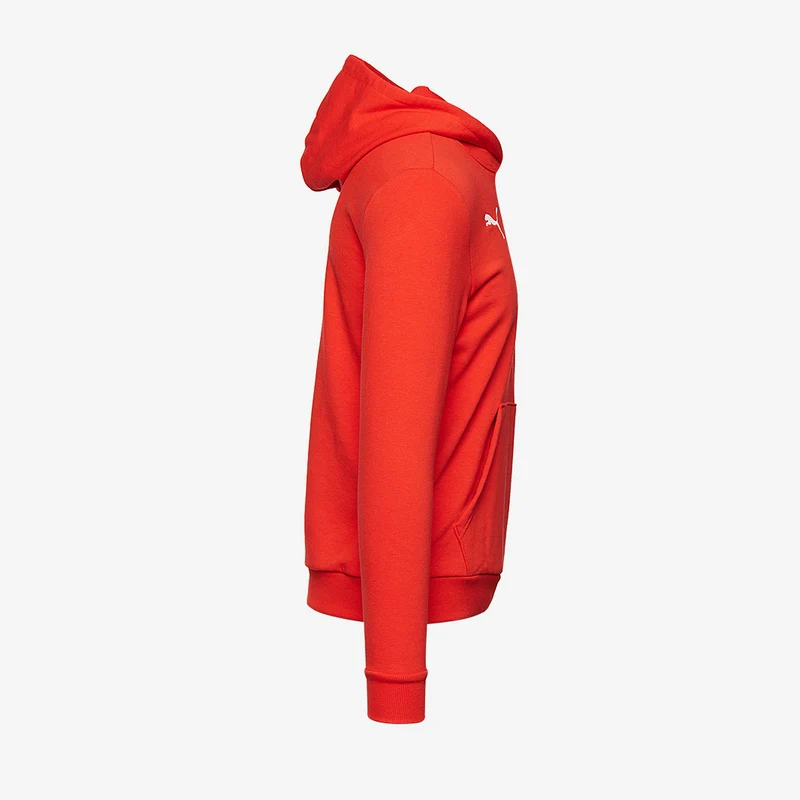 Sweat à capuche Puma Enfant Goal 23 Casuals