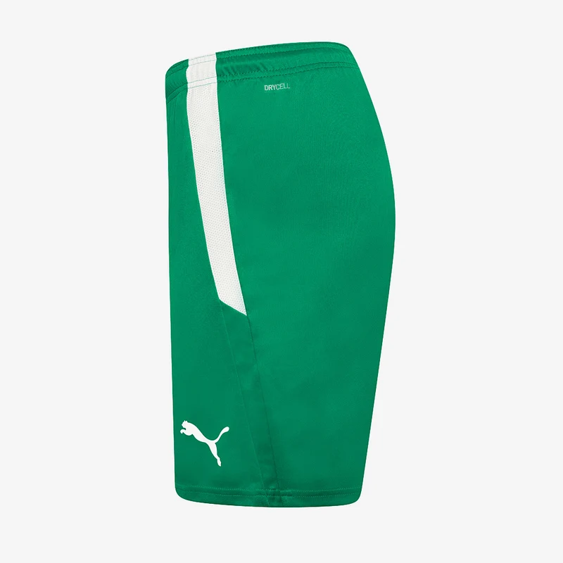 Short Puma Enfant Team Liga
