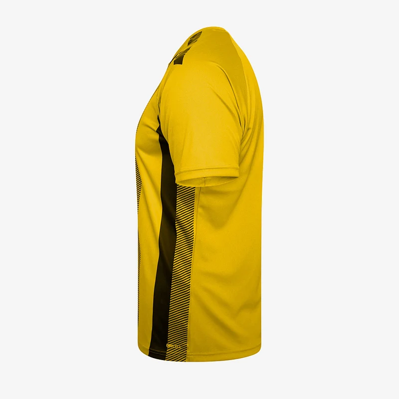 Maillot Puma Enfant Team Liga Striped Manches Courtes