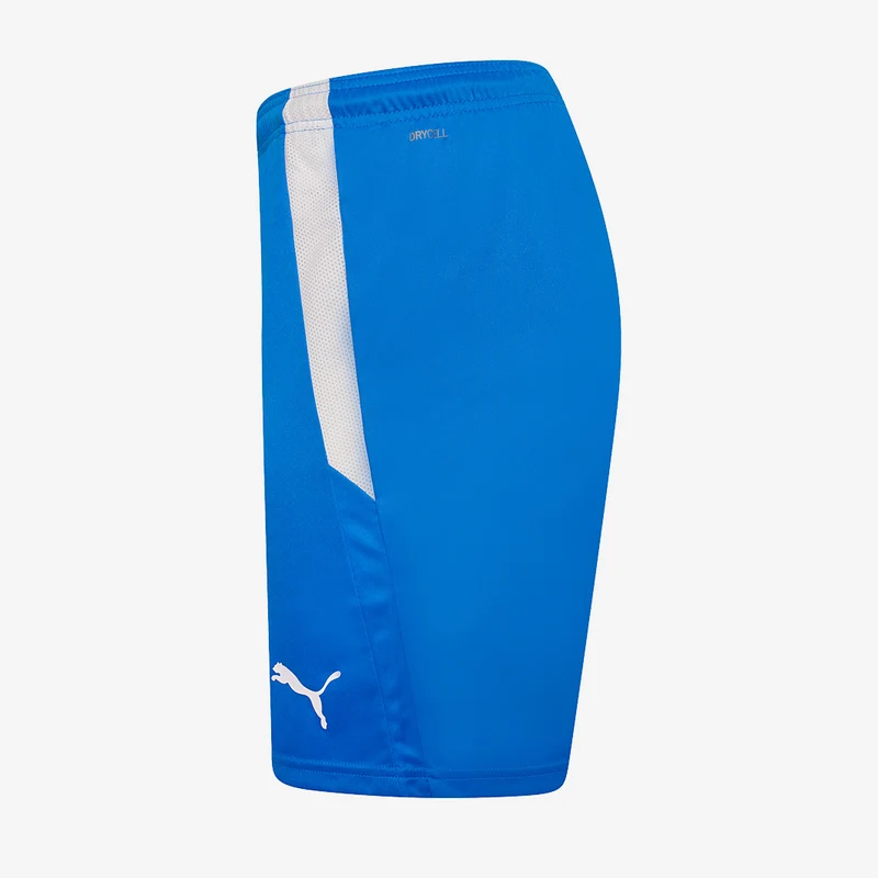 Short Puma Team Liga