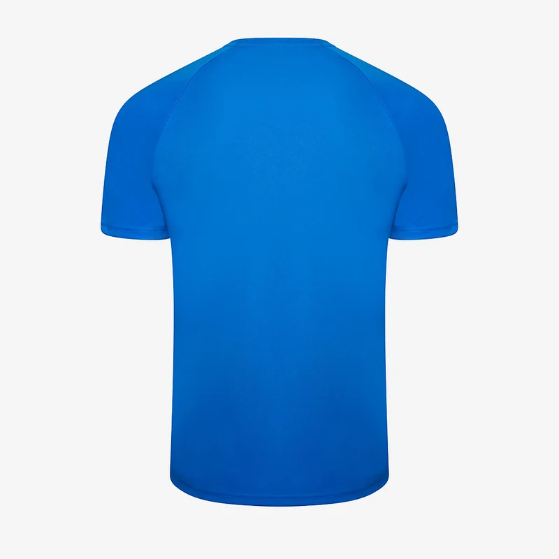 Puma teamLIGA Striped SS Shirt