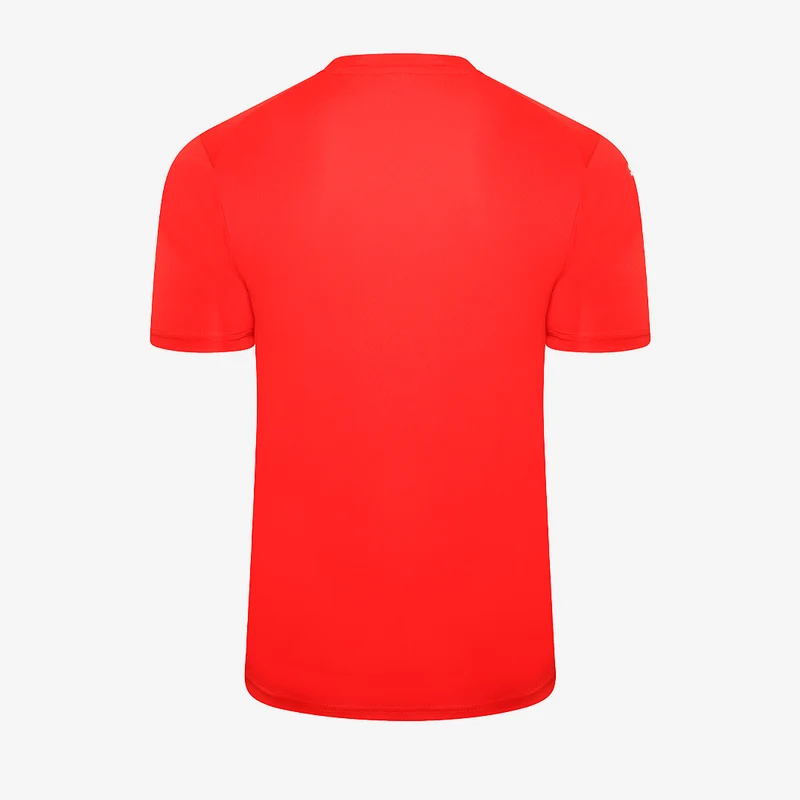 Maillot Puma Team Glory Manches Courtes