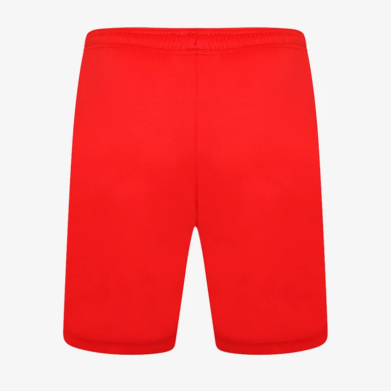 Short Puma Team Liga