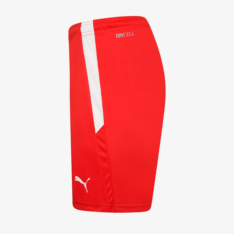 Short Puma Team Liga