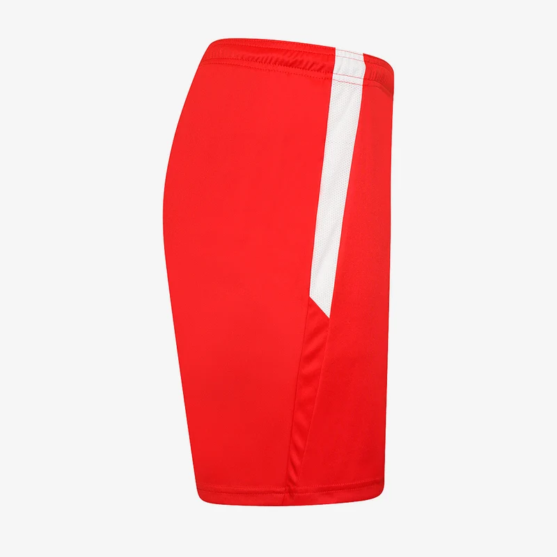 Short Puma Team Liga