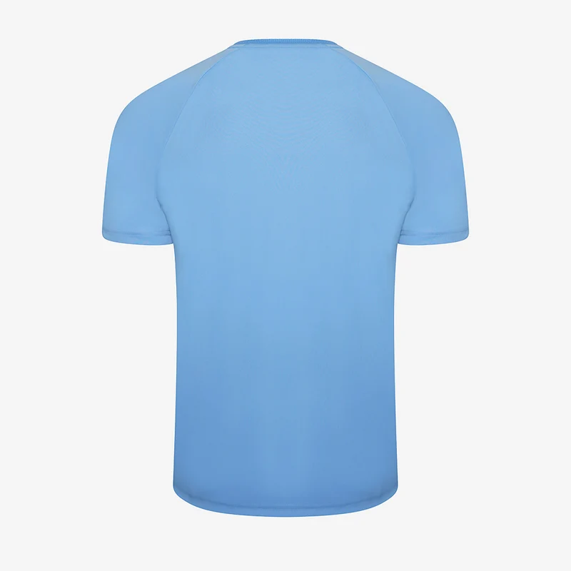 Maillot Puma Team Liga Striped Manches Courtes - Bleu Clair Équipe/Brun