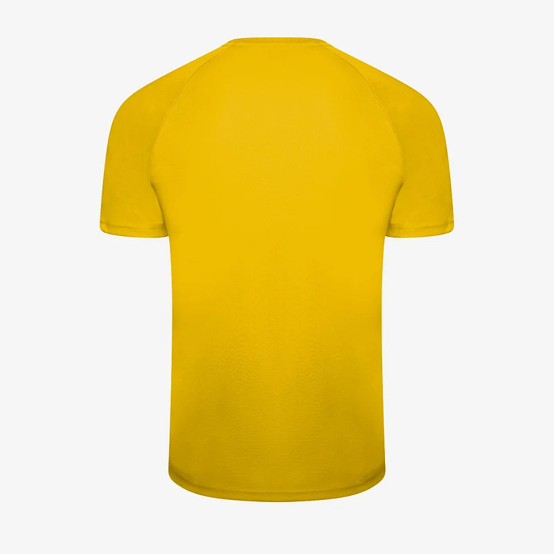 Maillot Puma Team Liga Striped Manches Courtes
