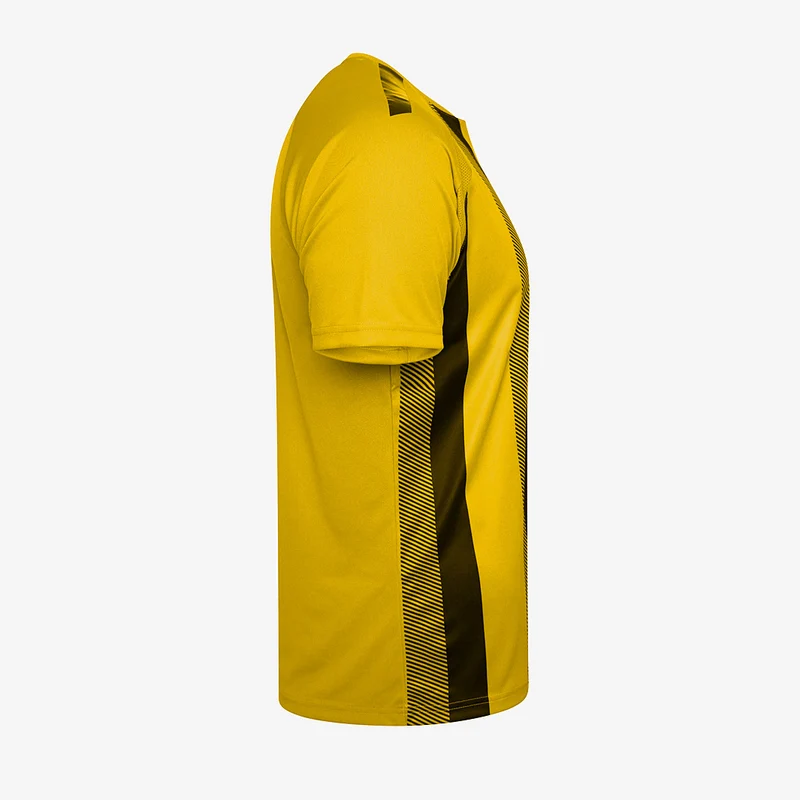 Maillot Puma Team Liga Striped Manches Courtes