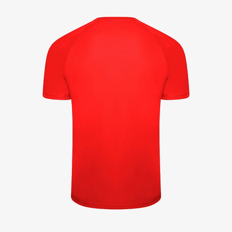 Puma teamLIGA Striped SS Shirt