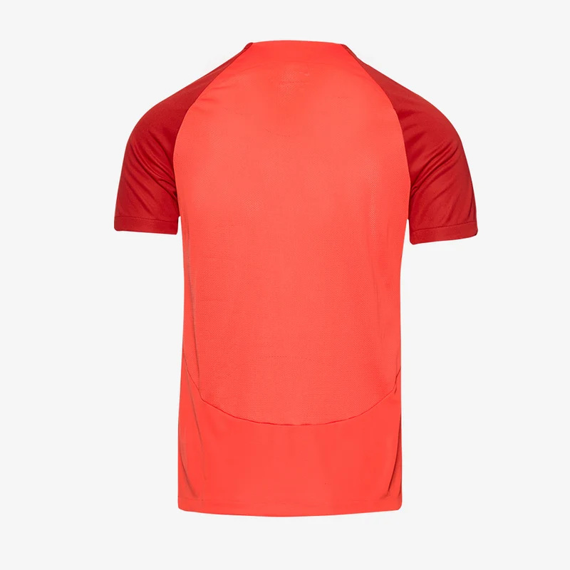 Nike Dri-Fit Junior Academy Pro SS Top (K)